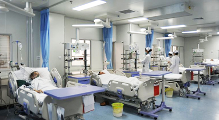 暴君的第一女相師皇后