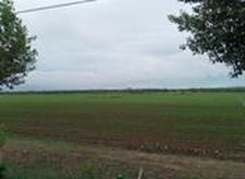 柳樹的創(chuàng)業(yè)經(jīng)歷